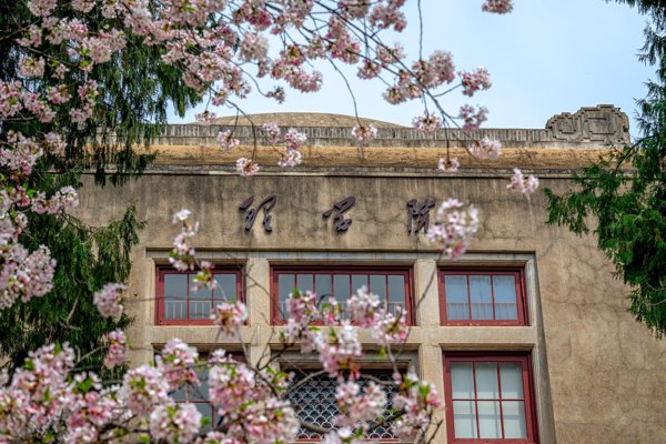 花与旧建筑