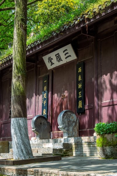 绿荫与旧屋